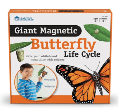 IMANES GIGANTES CICLOS1