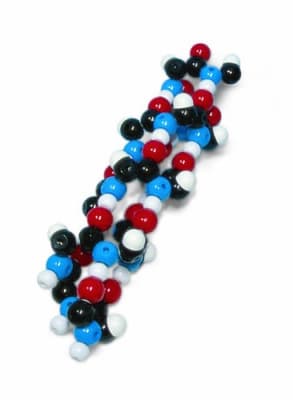 PROTEÍNA ALFA-HELIX MOLYMOD