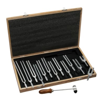 SET DE 13 DIAPASONES