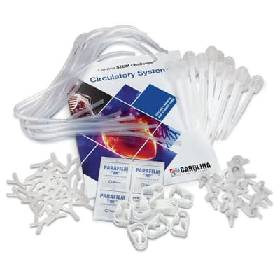 KIT STEM SISTEMA CIRCULATORIO4