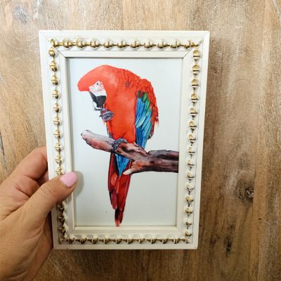 SALE - MINI GUACAMAYO SALE - MINI GUACAMAYO