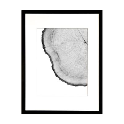 Corteza de Arbol Blanco I Corteza de Arbol Blanco I