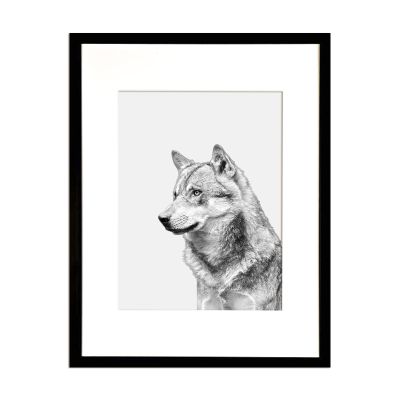 Fotografía Lobo Fotografía Lobo