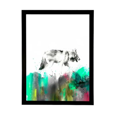Lobo Colores Lobo Colores