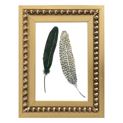 Colección Plumas Tierra Colección Plumas Tierra