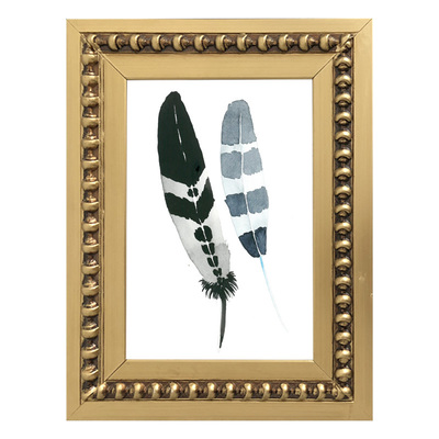 Colección Plumas Tierra II Colección Plumas Tierra II