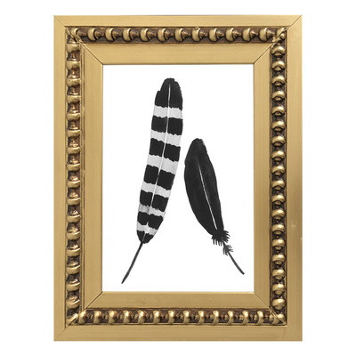 Colección Plumas Tierra III Colección Plumas Tierra III