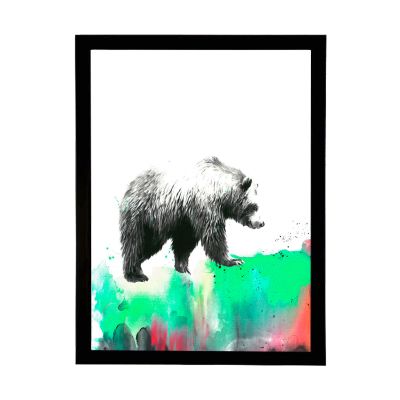 Oso Colores Oso Colores