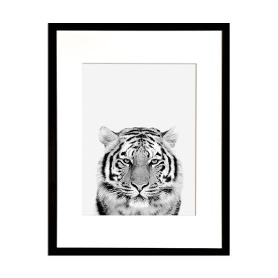 Fotografía Tigre Fotografía Tigre