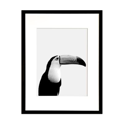 Fotografía Tucán Fotografía Tucán