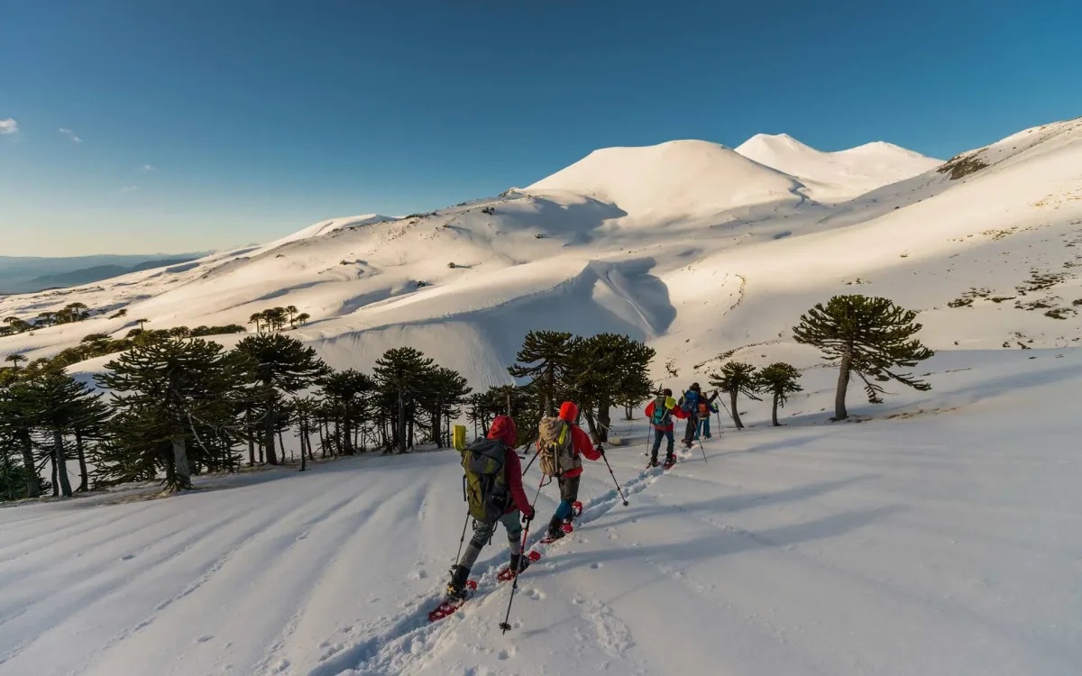 Características de las raquetas de nieve