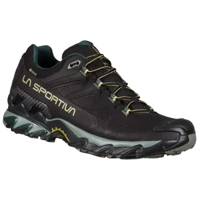 Ultra Raptor II Leather GTX1