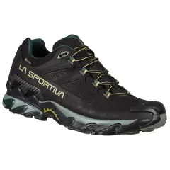 Ultra Raptor II Leather GTX