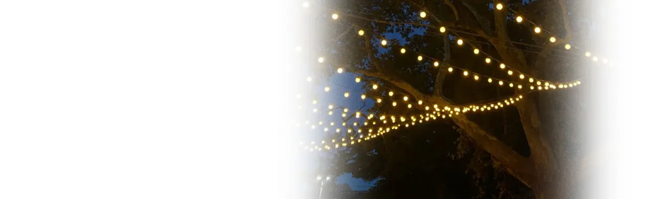 Iluminación Exterior y Jardín