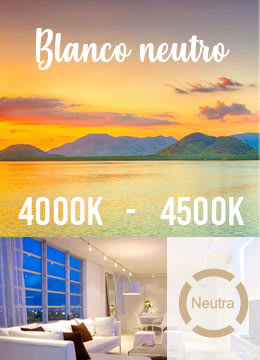 BLANCO NEUTRO