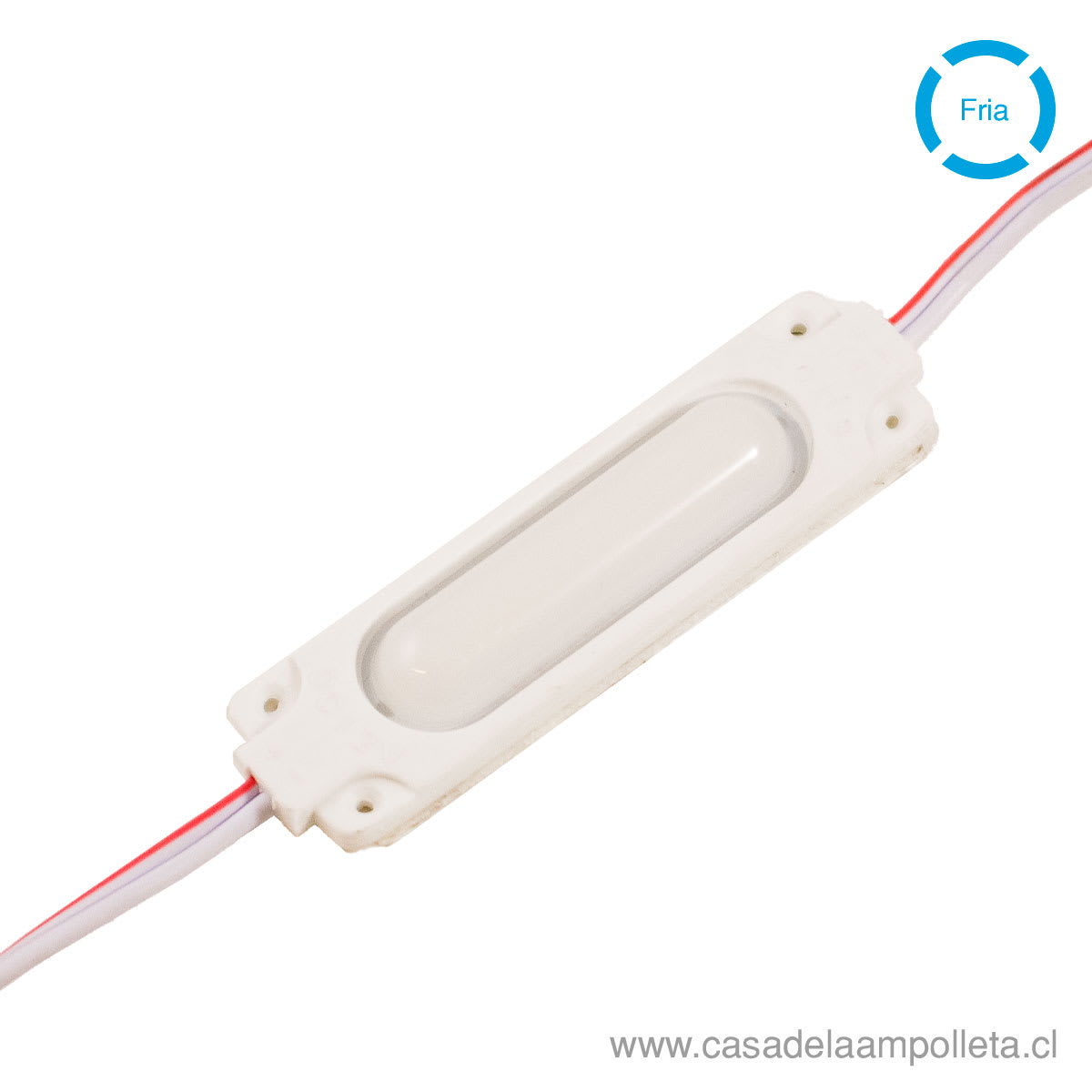 CALUGA LED 1W 12V - BLANCO FRIO (5000K)