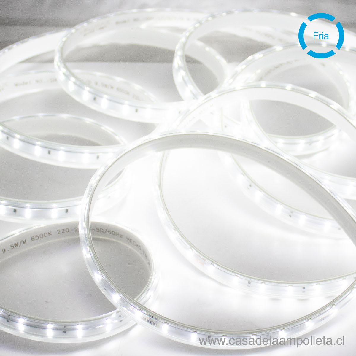 CINTA LED 220V POR METRO - BLANCO FRIO (6500K) - WELLMAX