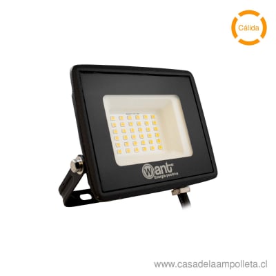 PROYECTOR LED PLANO THIN 30W - BLANCO CÁLIDO (3000K) - WANT1