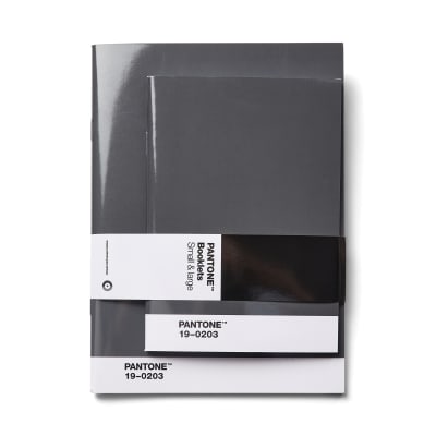 Libretas Pantone Set De 2 Punteadas - Gris1