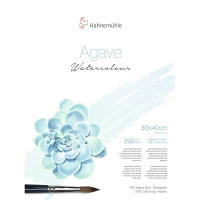 HAH BLOCK ACUARELA AGAVE 290 GR 30 X 40 CM 12 H 1