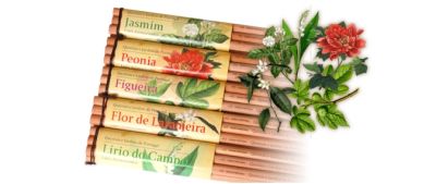 Lapiz con Aroma Lapiz Hexagonal Grafito1