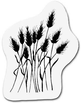 Timbre De Acrilico Figura Ramas De Trigo Set Inicial De Acrilico Para Estudiantes1