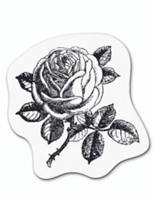 Timbre De Acrilico Figura De Rosa Set Inicial De Acrilico Para Estudiantes1