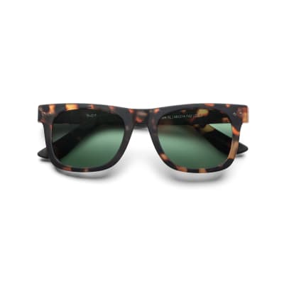 B+D Square SUN XL - MATT TORTOISE POLARIZED1