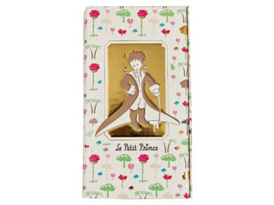 Triptico Principito Anotador + Bolsillo De Guaradar1