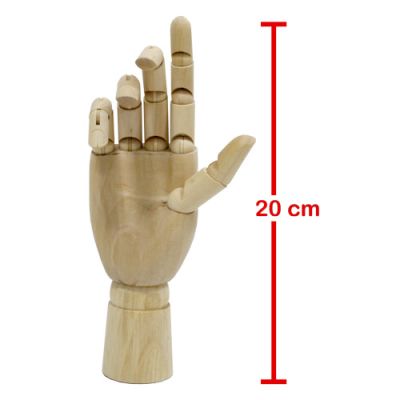 Mano de Madera Articulada Derecha 20cm aprox.1