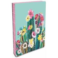 Libreta Mediana Tapa Dura Cactus Coloridos1