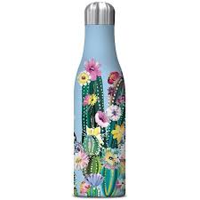 Botella Agua Acero Inoxidable Cactus Coloridos1