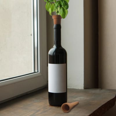 Tapa Kikkerland De Botella Macetas1
