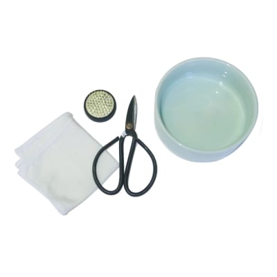 Kit Mini Kikkerland  Ikebana1
