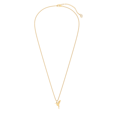 CHOCLI Collar con Baño18k Colibrí