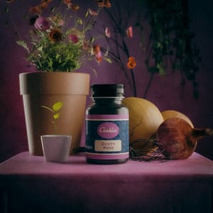 Botella Monteverde Conklin 60 ml; Dusty Rose1