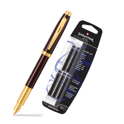 Set Pluma Serie 100 Café mas Cartucho de Tinta1