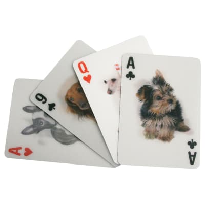 Juego de Cratas Kikkerland  3D De Perros1