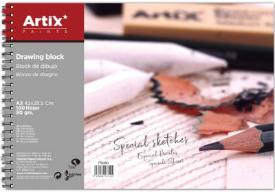 Block De Dibujo Drowin 100 Hjs 42x28 Cms A3 (MP)1