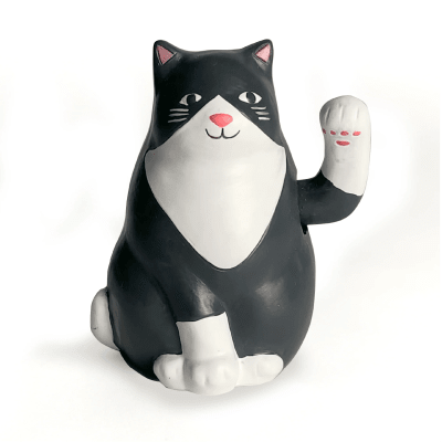 Solar Kikkerland  Cat1