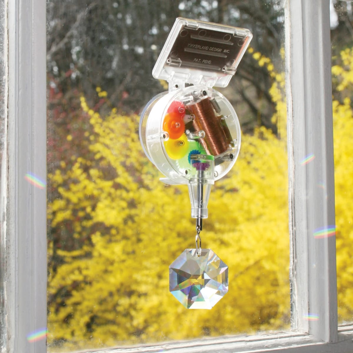 Rainbowmaker Kikkerland  Colgante3
