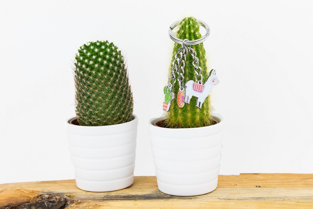 Llavero Troika con 3 dijes( alpaca, cactus y sombrero)2