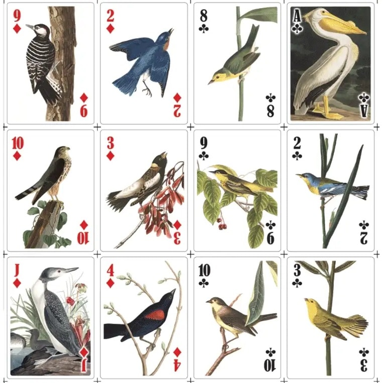 Cartas Kikkerland De Juego 3D De Pájaros5