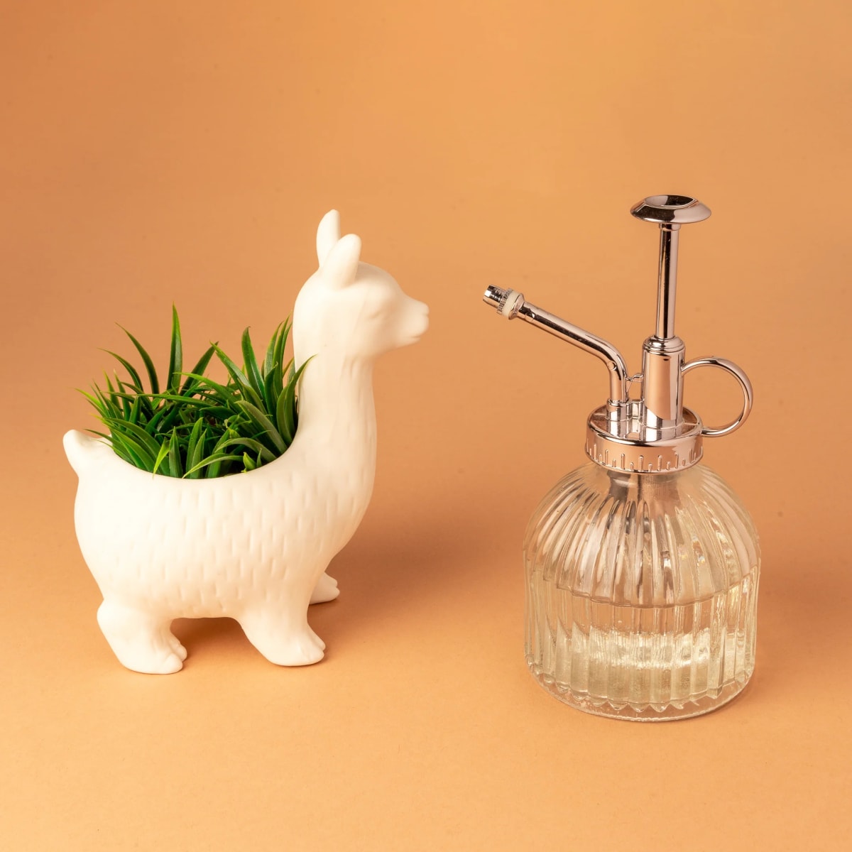 Mister Kikkerland  De Vidrio2