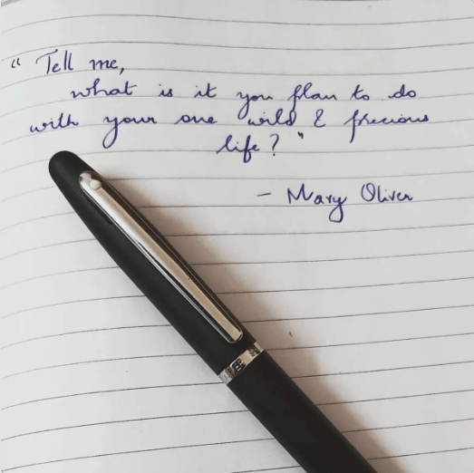 Rollerball Sheaffer VFM Negro Mate CT Negro5