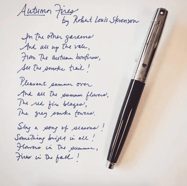 Roller Sheaffer Serie 300 Negro Brillante. Cromo5