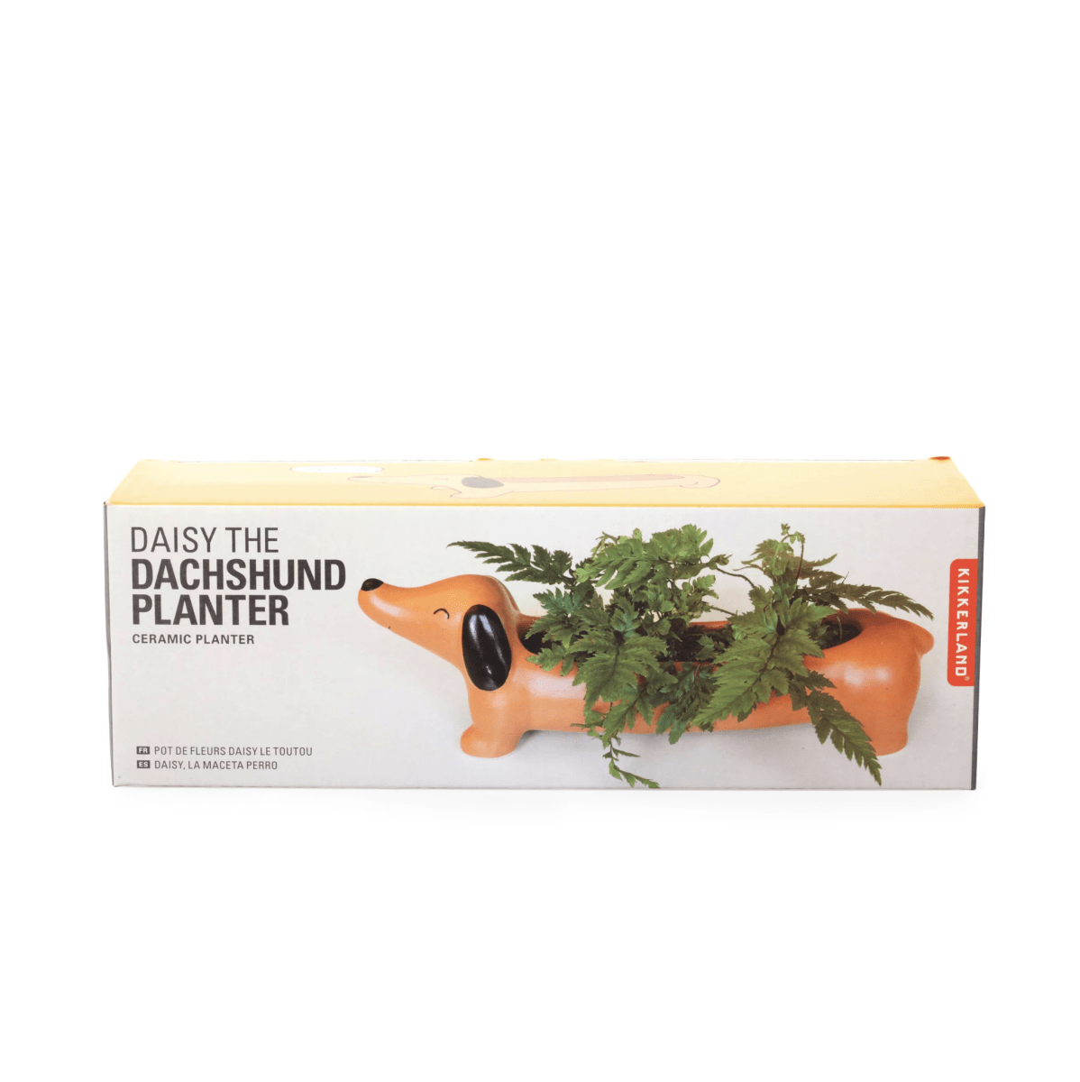 Macetero Kikkerland  Daisy3