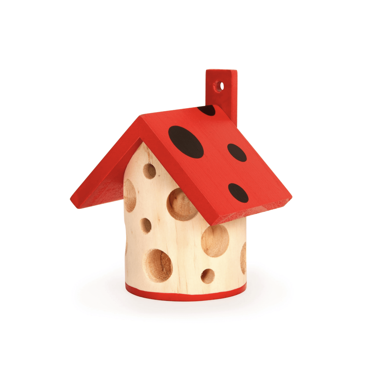 Casa Ladybug Kikkerland1