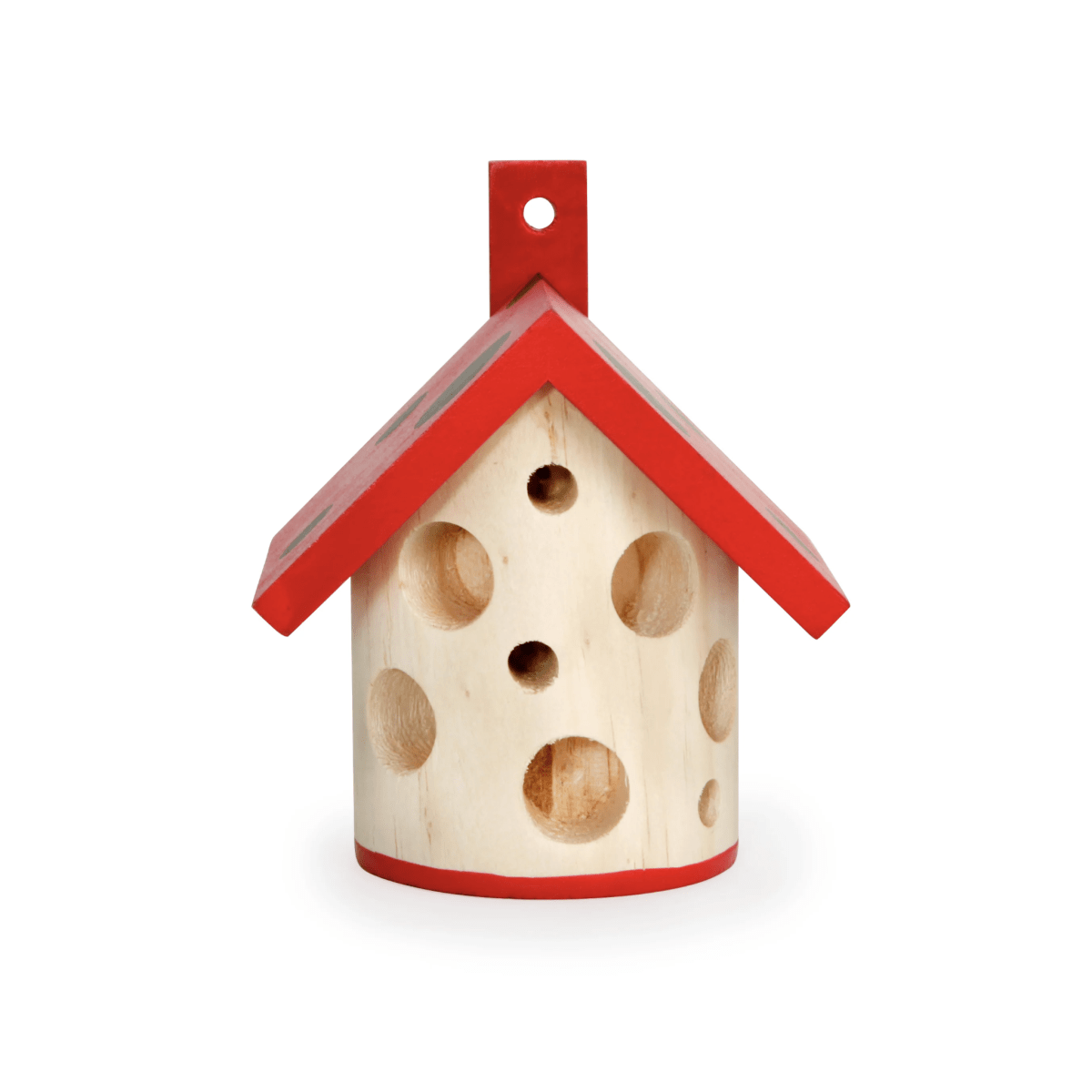 Casa Ladybug Kikkerland2