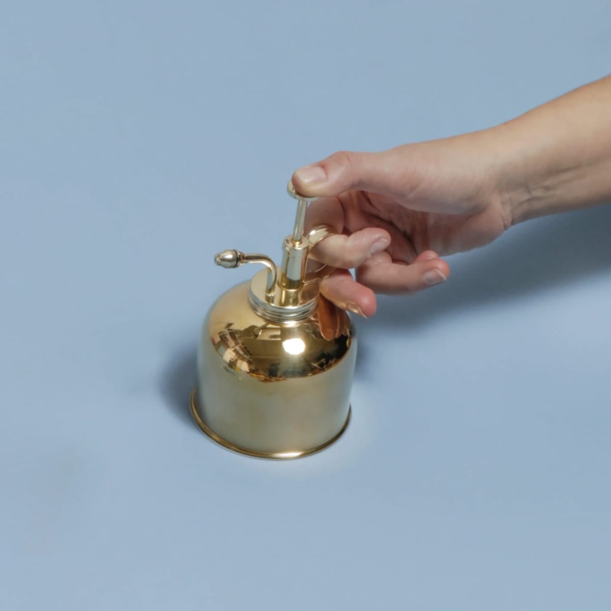 Mister De Plantas Kikkerland  De Bronce4